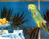 豪尔赫阿珀利 - Still Life with Parrot